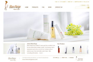 跨境電商商城網站建設制作解決方案與主要功能明細介紹