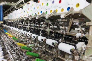 村企品牌化身網紅爆款,雙十一這家企業(yè) 拼 一把爭選蘇寧拼購村