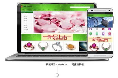 高人氣珠寶購(gòu)物商城網(wǎng)站開發(fā)_高人氣珠寶購(gòu)物商城網(wǎng)站制作