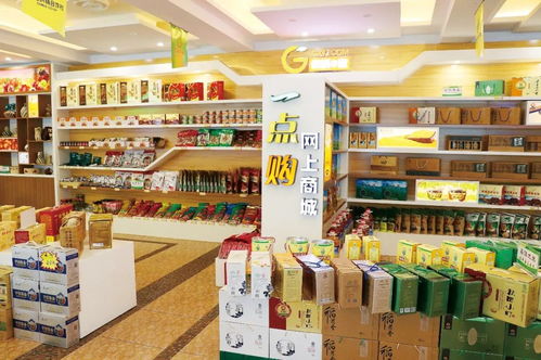 在改革開(kāi)放的浪潮中砥礪前行